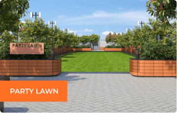 party-lawn